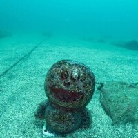 海の中のドラえもん🤣