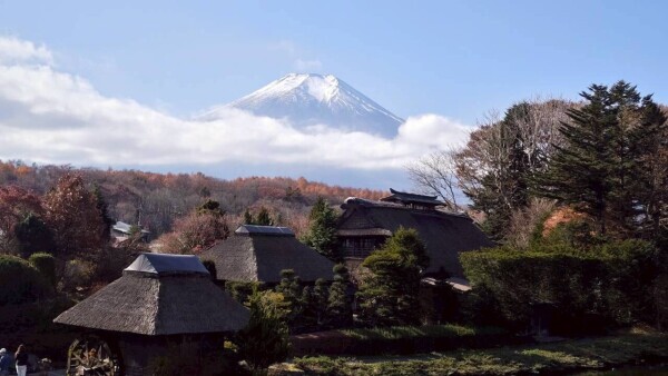 お礼です(⁠*⁠´⁠ω⁠｀⁠*⁠)
