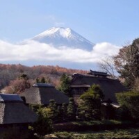 お礼です(⁠*⁠´⁠ω⁠｀⁠*⁠)