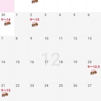 12月の予定