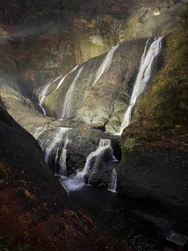 今年4回目🥰💓