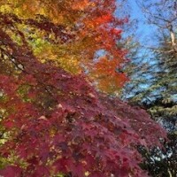 12月出勤のお知らせ📢