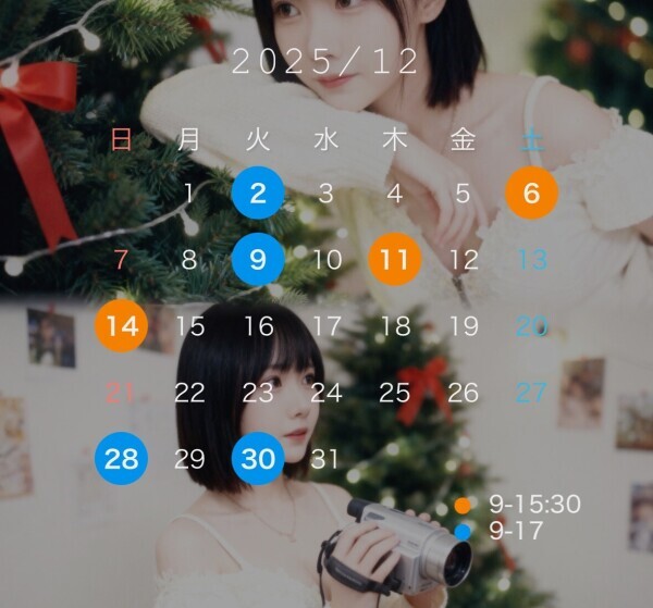 12月の予定と姫予約