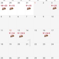 来月の予定☝️
