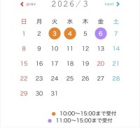 ３月の第1週の予定！