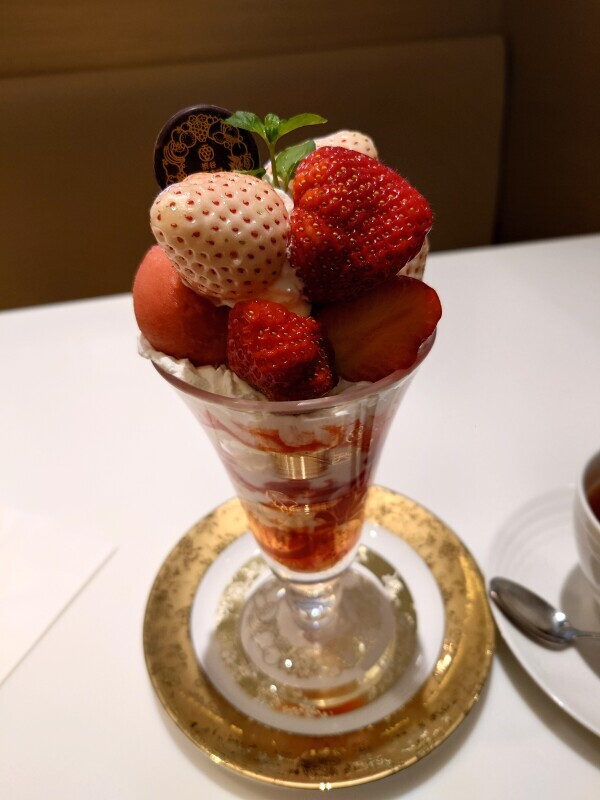 3月前半予定🍀