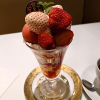 3月前半予定🍀