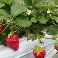 4月出勤予定✏️