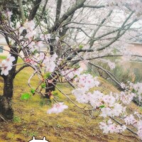 お礼です(⁠*⁠´⁠ω⁠｀⁠*⁠)