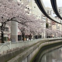 6日出勤しています♡