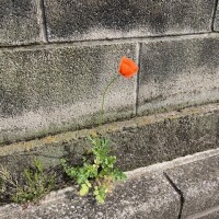 会いたい人に会える場所♡