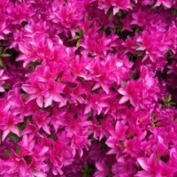 5月の出勤予定🗓️