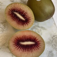 春だけのルビーレッド♡