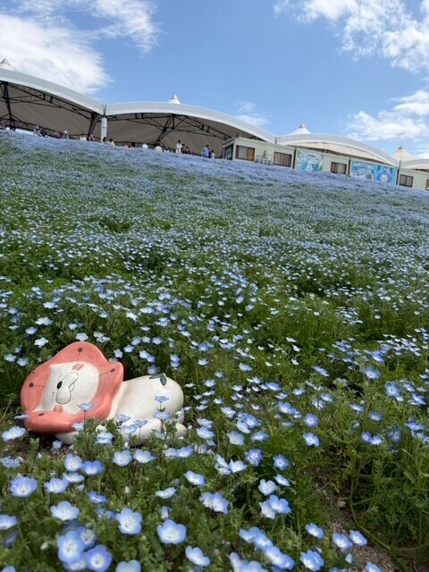 5月シフト🗓️