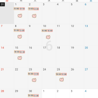 6月の予定