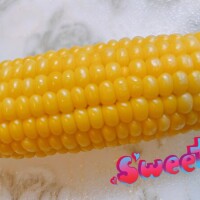 採れたて♡
