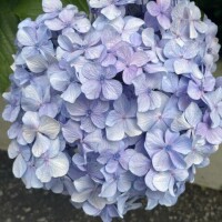 訂正♡
