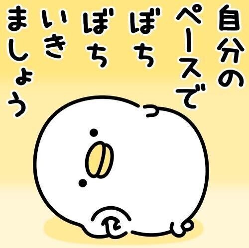 今日はお休み