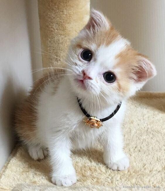 3日間ありがとうございました!