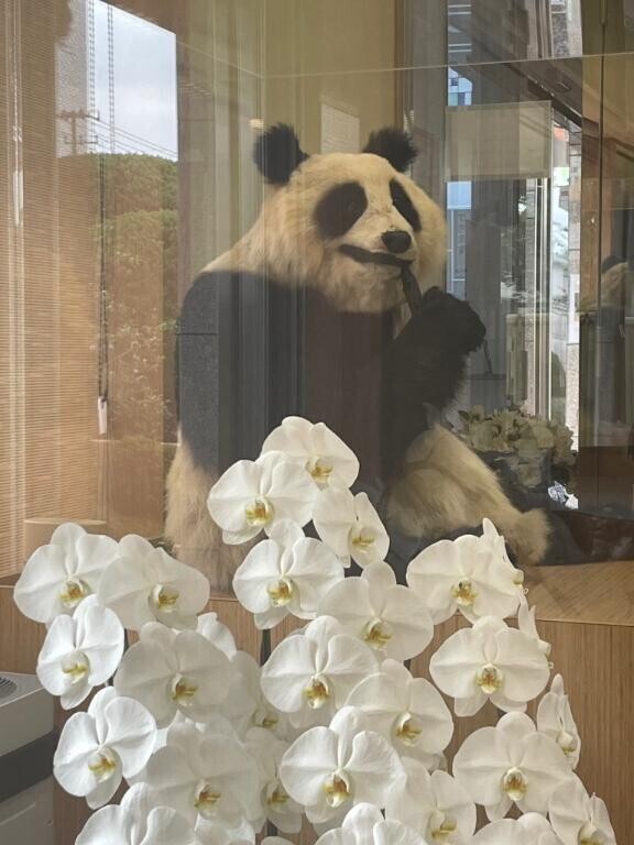 休暇中です