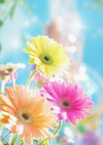 ありがとう御座います♡
