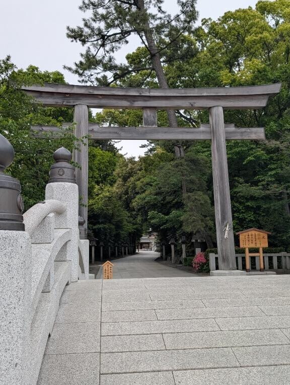 言うたらこっからが追い上げ時