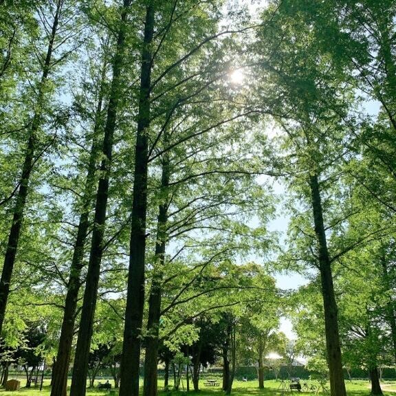 ちょっとだけど