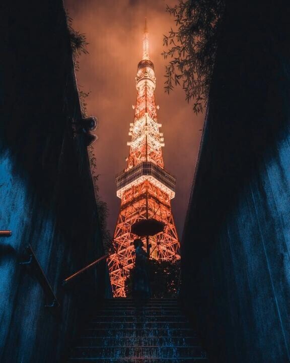 次回