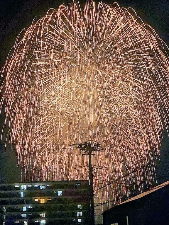 今年も…