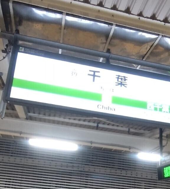 ヽ( 'ω' )ゝ三ｼｭｯ
