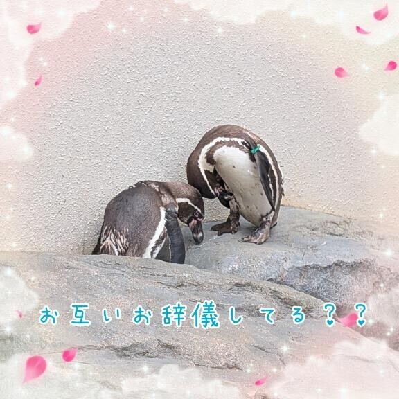 夕方からゆるりと出動