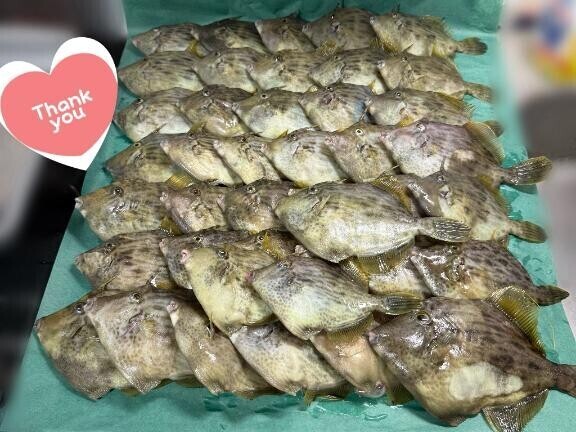 本指名150分Y様 ⸜(感•ᴗ•謝)⸝