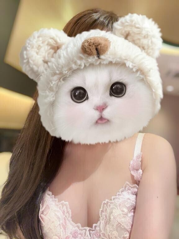 しゅっきん