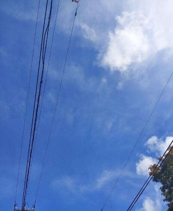 感激