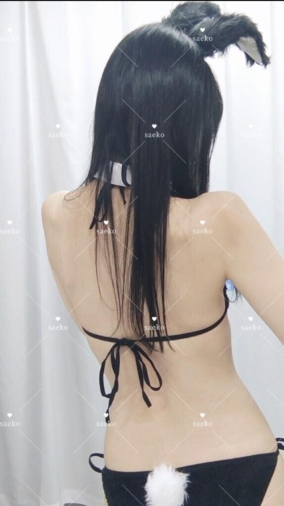完全なる趣味の話