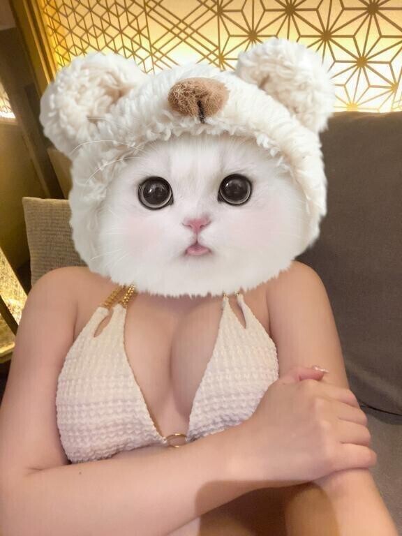 おはよん