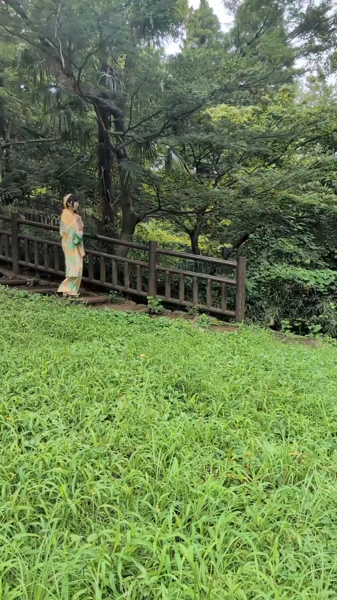 SWは不在