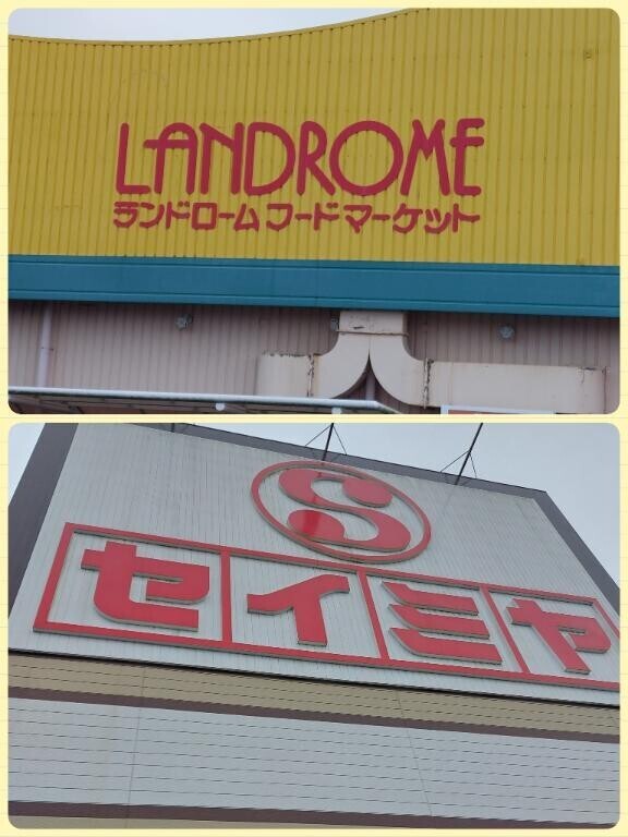 ハシゴ