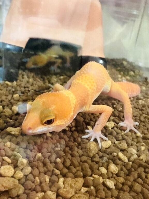 退勤しました♡