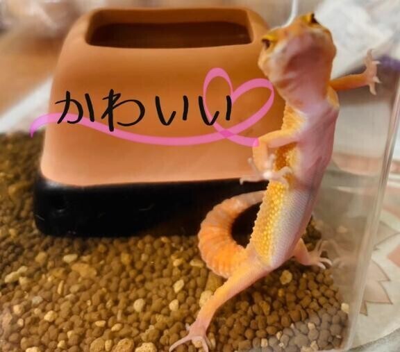K様へ