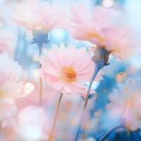うか