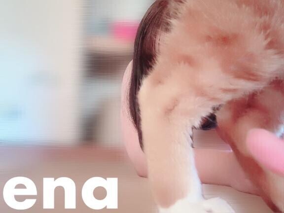 の妨害