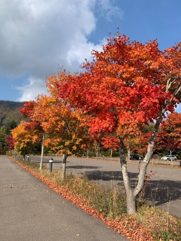 Ｉ北海道 な話