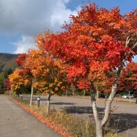 なおみ