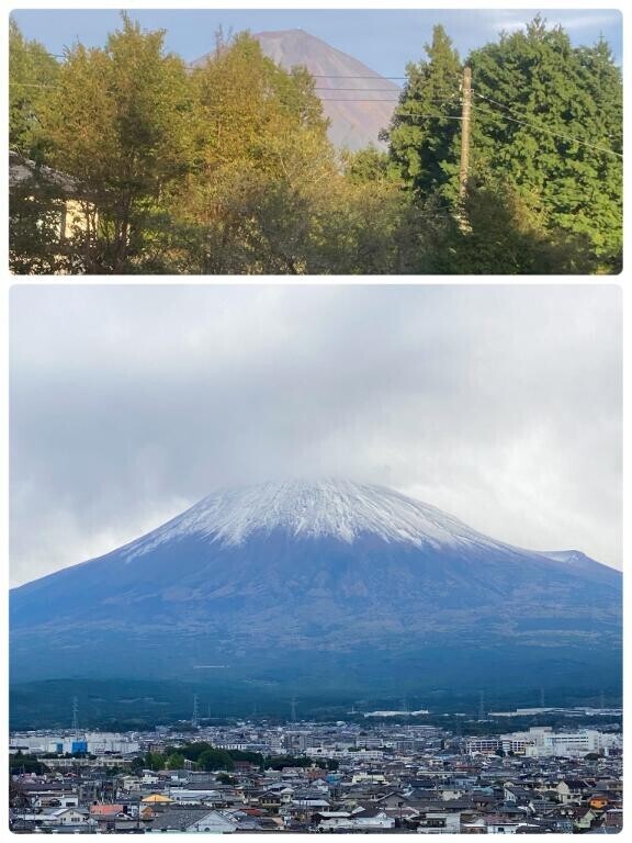 ご報告