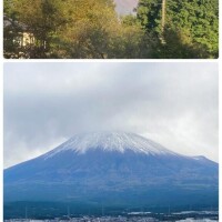 まりか