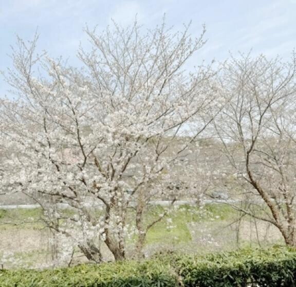 ｵﾊﾖ(∩･∀･∩)?