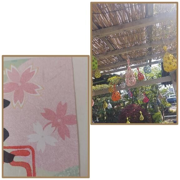 お散歩??