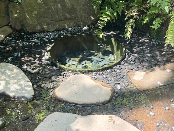 お出かけしたよ