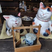 たえこ